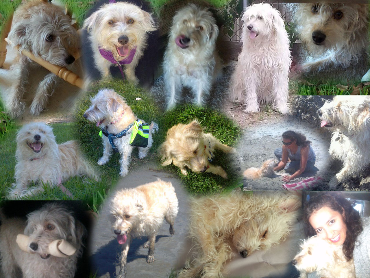 Nilda - Chiquita "my best furry friend"